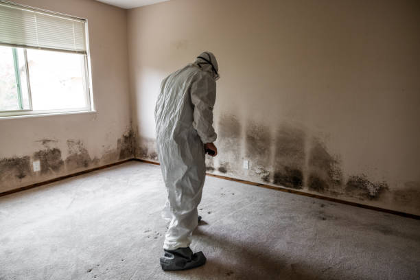 Best Crawl Space Mold Removal  in Mission Bend, TX